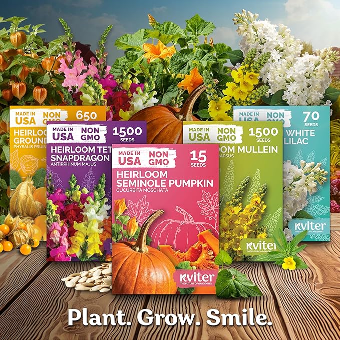 KVITER 25 Big Max Pumpkin Seeds - Image 7
