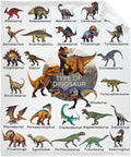 Dinosaur Flannel Fleece Blanket Throw Couch Microfiber Soft Cozy Lightweight by DOREALA