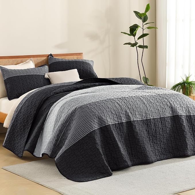 Litanika Quilt Queen Size Black, Soft Lightweight Polyester Comforter Bedding by Litanika