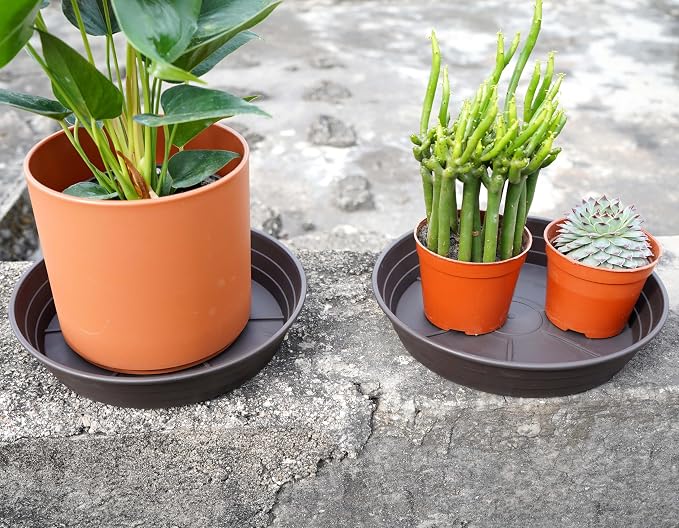 LWALRS Plant Saucer 14 Inch 2 Pack 6 8 10 12 14 16 18 20 25, Plastic Plant Trays - Image 6
