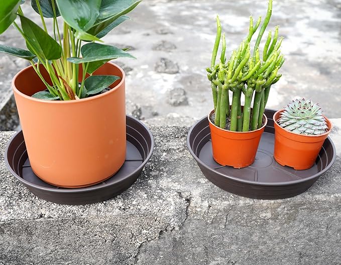 Plant Saucer 6 Inch 4 Pack 6 8 10 12 14 16 18 20 25, Plastic Plant Trays - Image 3