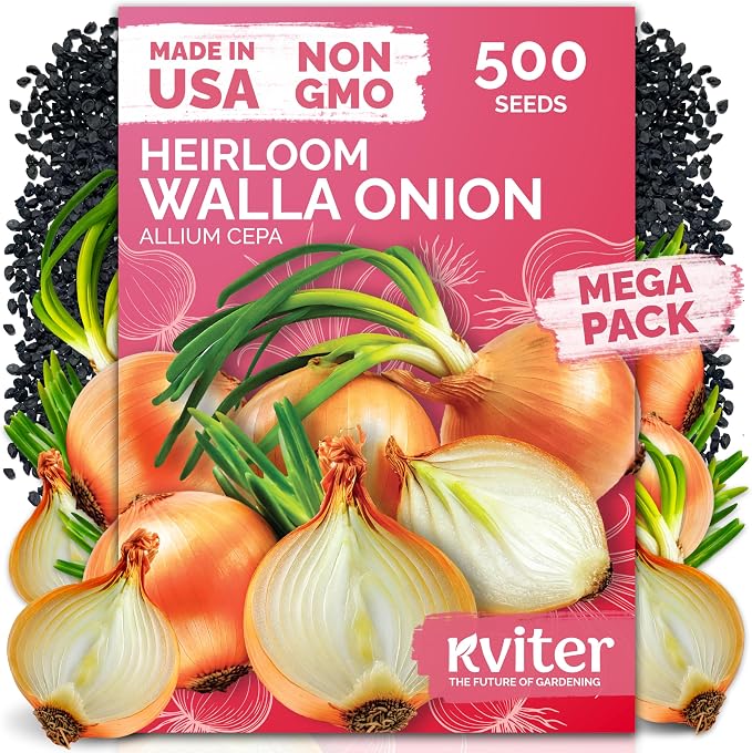 KVITER 500 Walla Walla Onion Seeds by KVITER