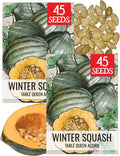Seed Needs Winter Squash Seeds for Planting Table Queen Squashes by SeedNeeds