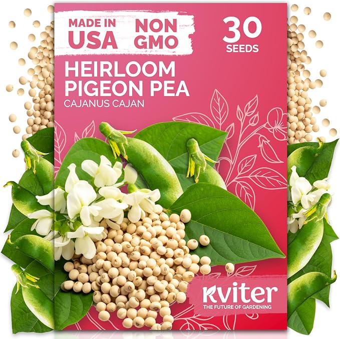 KVITER 30 Guandules Pigeon Peas Seeds by KVITER