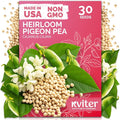 KVITER 30 Guandules Pigeon Peas Seeds by KVITER