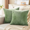 BEDELITE Velvet Pillow Covers 18x18 by BEDELITE