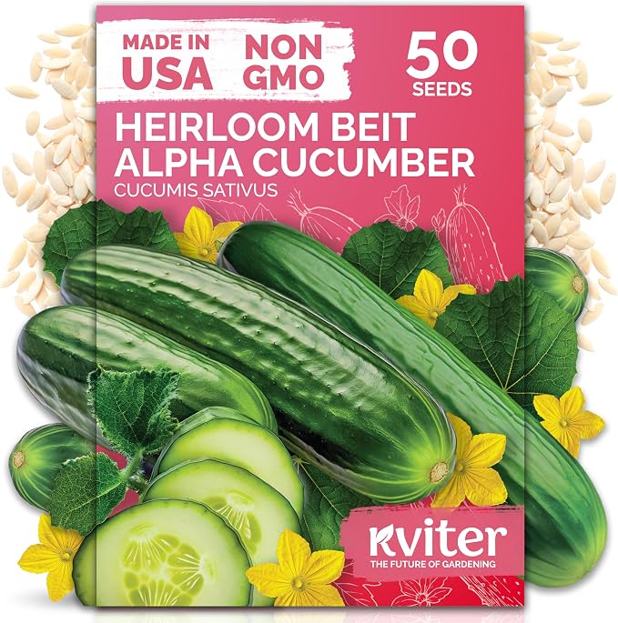 KVITER 50 Beit Alpha Cucumber Seeds by KVITER