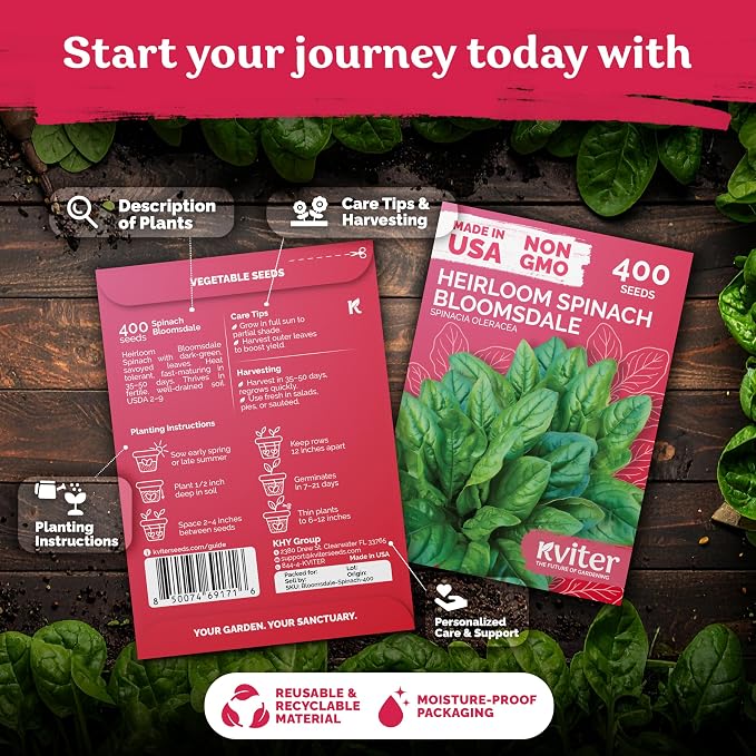 KVITER 400 Bloomsdale Spinach Seeds — Non-GMO & Heirloom, Heat Tolerant - Image 2
