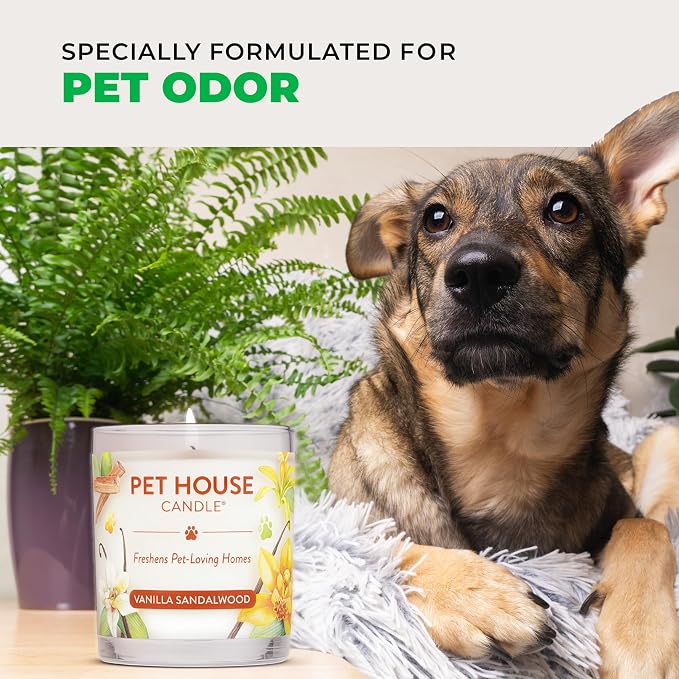 Pet House Pet Odor Candle Plant Based Soy Candle Clean Burning, Long Lasting - Image 5