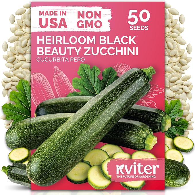 KVITER 50 Black Beauty Zucchini Seeds by KVITER