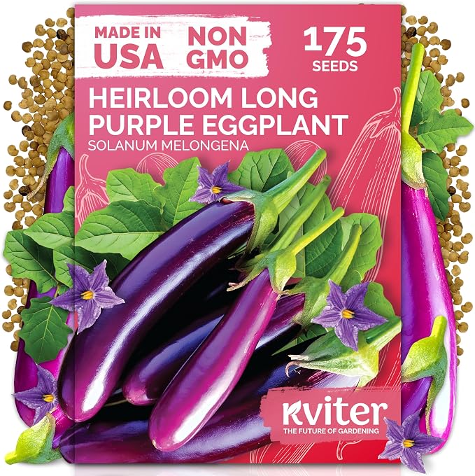 KVITER 175 Long Purple Eggplant Seeds – Asian Eggplant, Dark Purple Italian Egg by KVITER