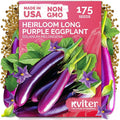 KVITER 175 Long Purple Eggplant Seeds – Asian Eggplant, Dark Purple Italian Egg by KVITER