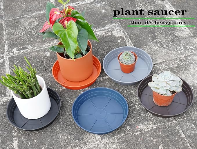 LWALRS 4 Packs 8 Inches Plant Saucer Drip Trays, Round Plastic Plant Pot - Image 7